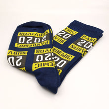 Load image into Gallery viewer, Pandemic Survivor Socks (3 Colours)
