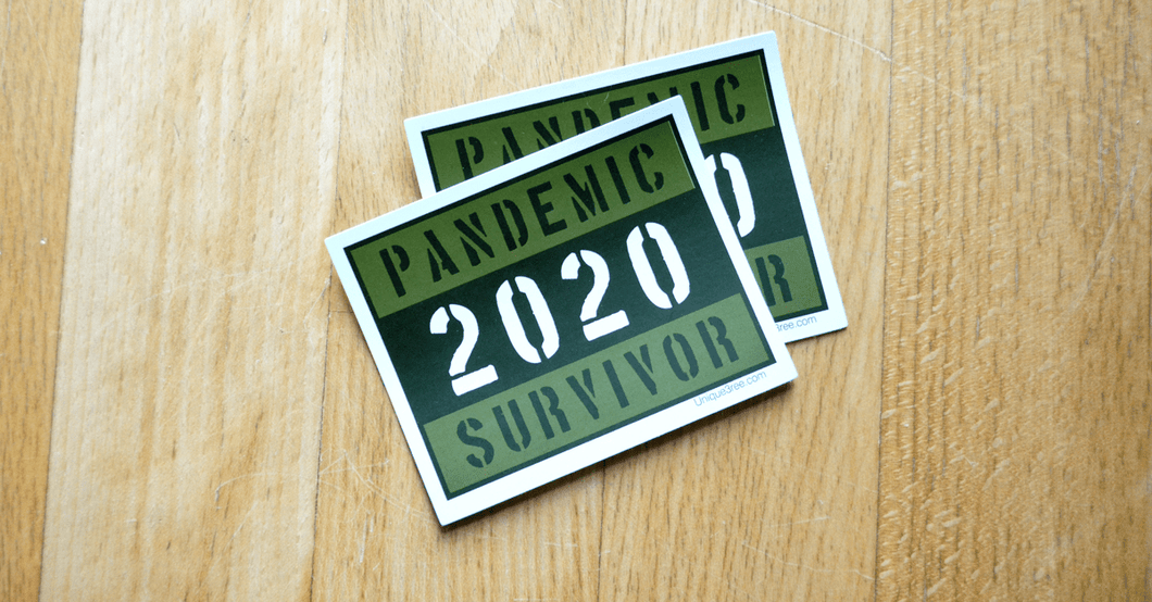 Set of 5 Pandemic Survivor pin  Stickers