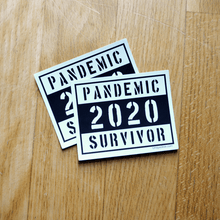 Load image into Gallery viewer, Set of 5 Pandemic Survivor pin  Stickers