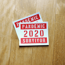 Load image into Gallery viewer, Set of 5 Pandemic Survivor pin  Stickers