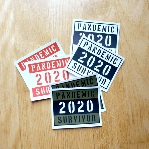 Set of 5 Pandemic Survivor pin  Stickers